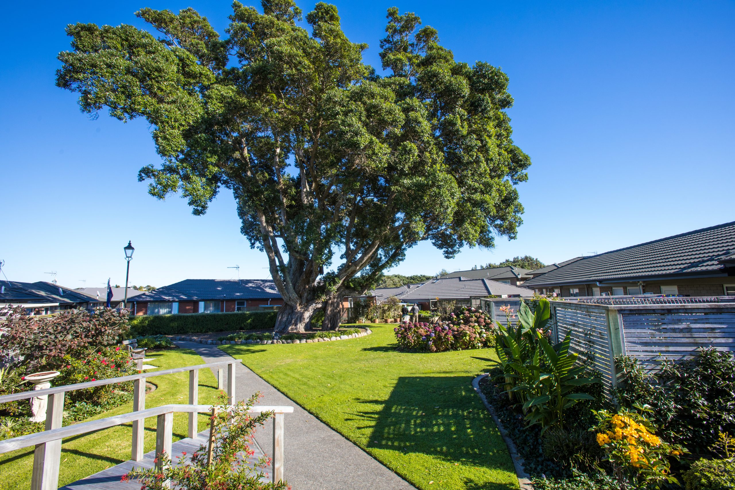 village green